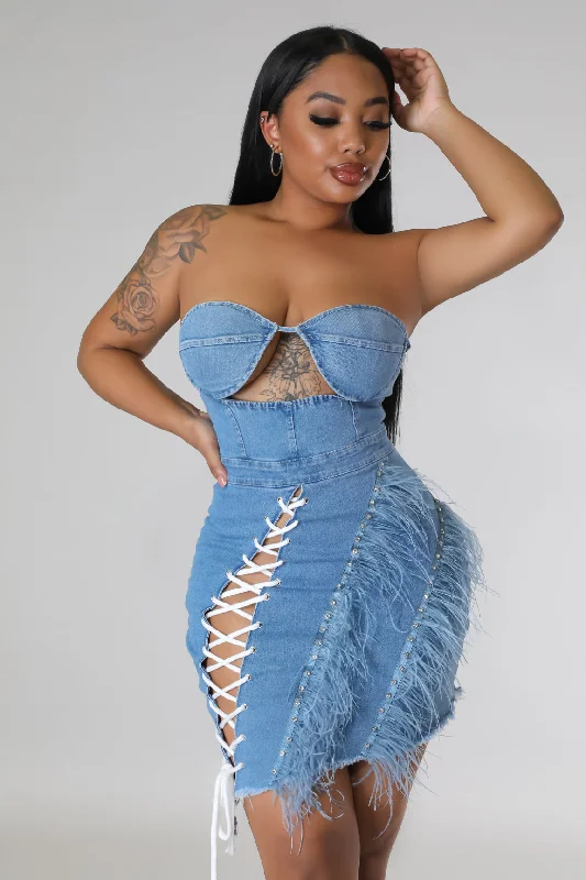 denim dressIvyisla Dress